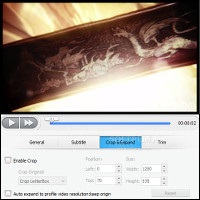 Showing the options for cropping and expanding videos in WinX HD Video Converter Deluxe World Cup Edition